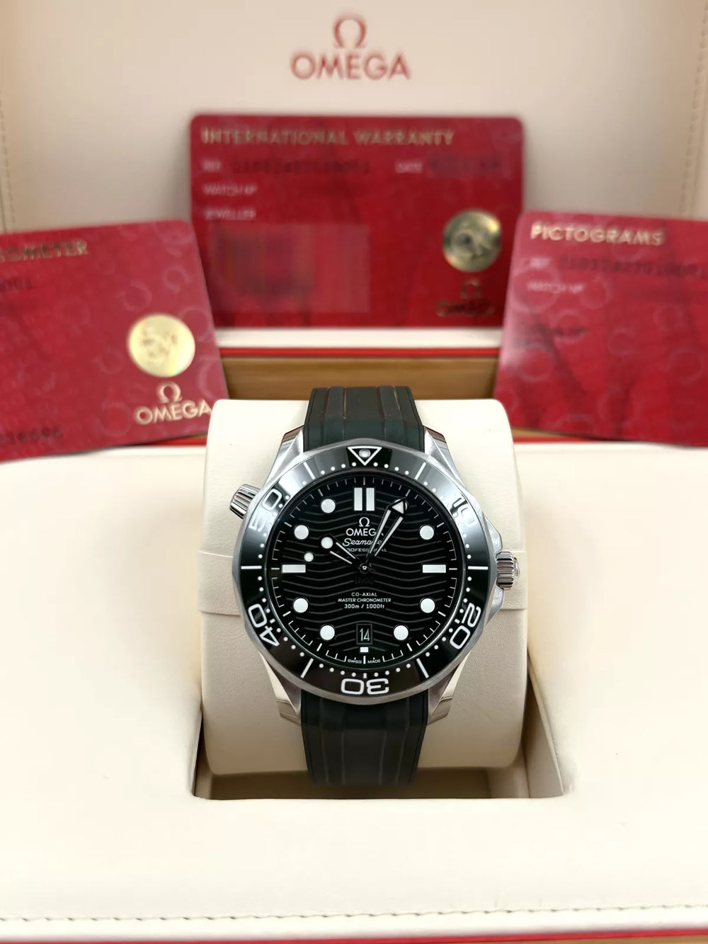 Omega Seamaster 300M 210.32.42.20.10.001