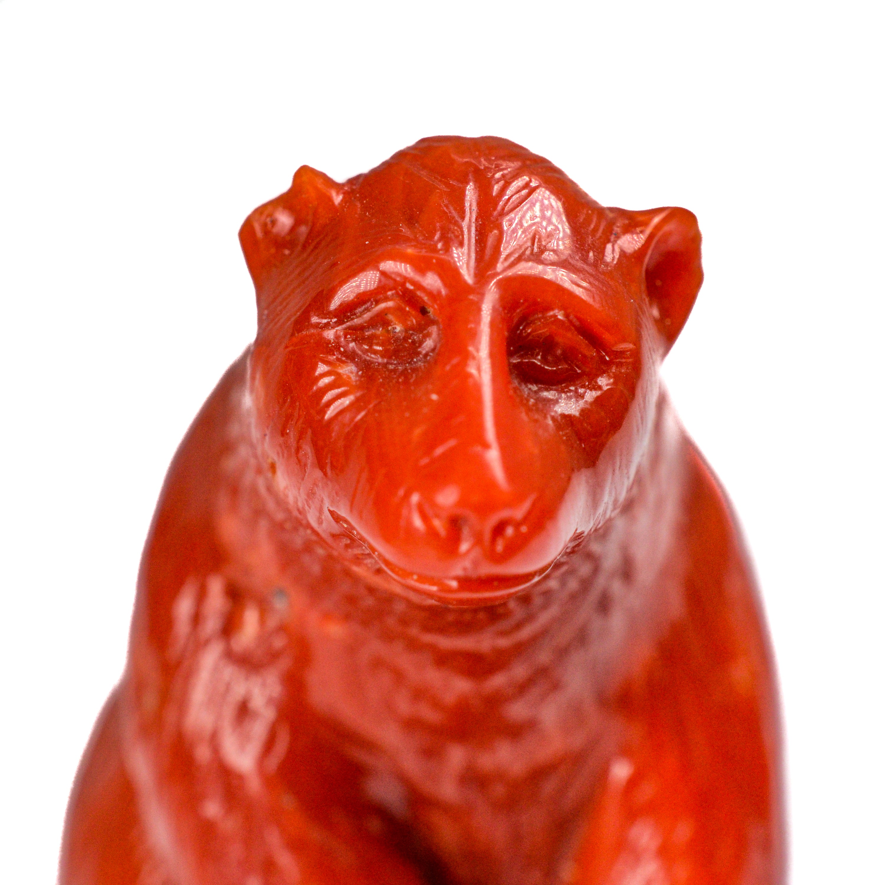 -E- 317.18cts Red Coral Bear G