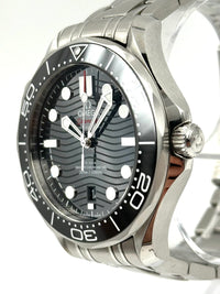 Omega Seamaster 300m 210.30.42.20.01.001