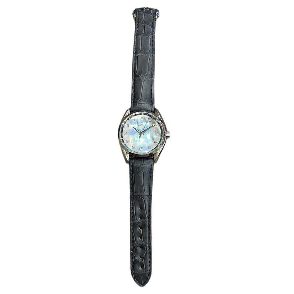 Seamaster Aqua Terra 39mm Stainless Steel 231.13.39.21.57.001
