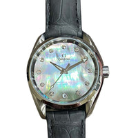 Seamaster Aqua Terra 39mm Stainless Steel 231.13.39.21.57.001
