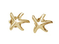 14kt Yellow Gold Small Starfish Earrings