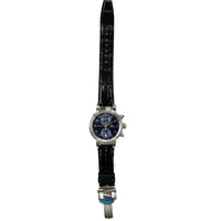 Da Vinci Chronograph Stainless Steel IW393402