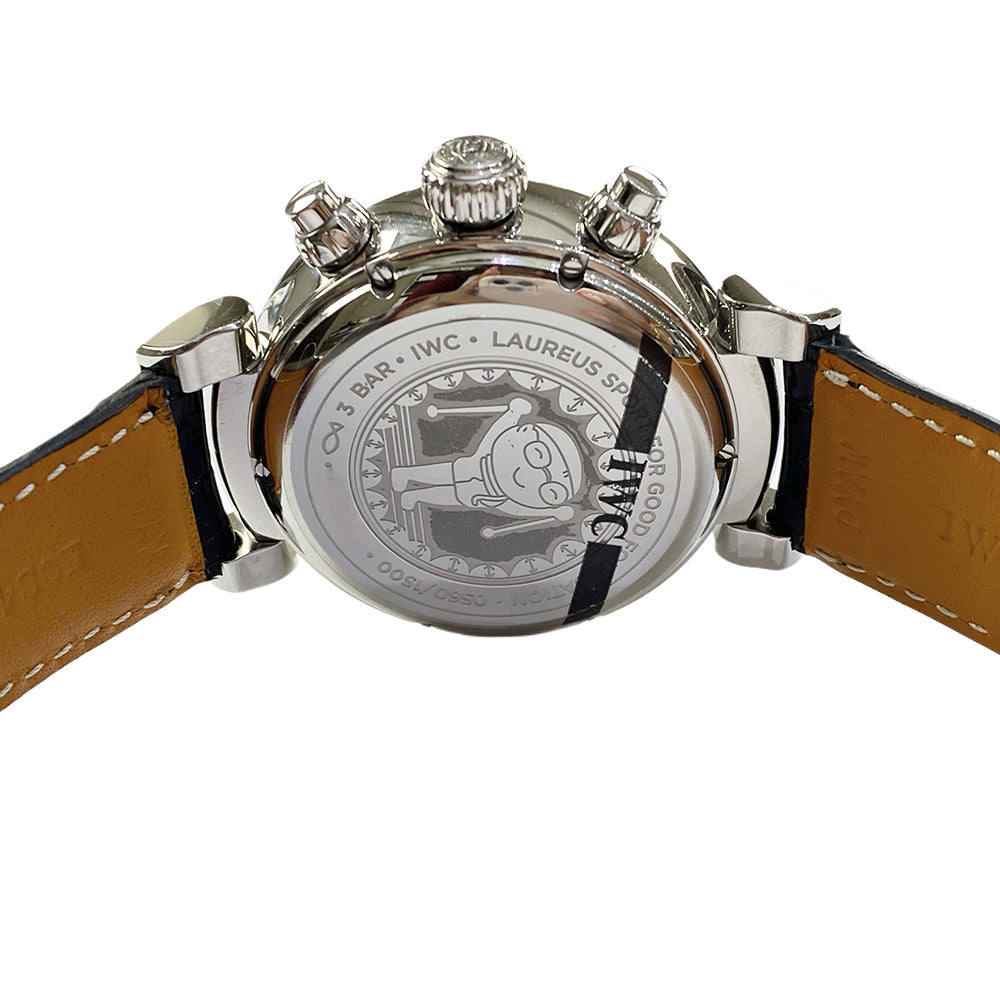 Da Vinci Chronograph Stainless Steel IW393402