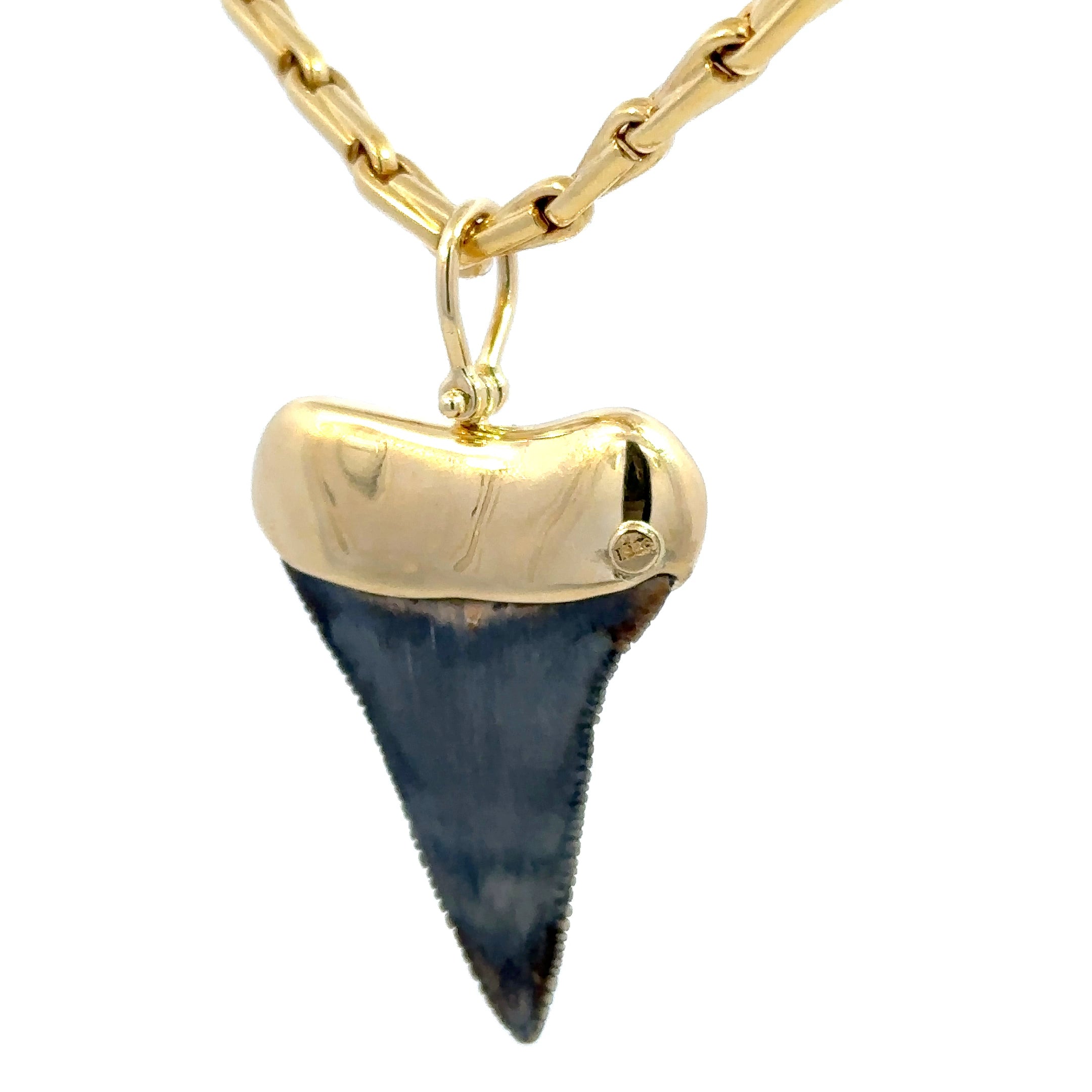 Estate 18K Yellow Gold Shark Tooth Pendant Necklace – Solid Gold 20" Chain Custom Setting