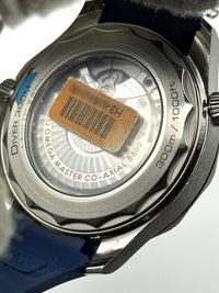 Omega Seamaster 300M 210.32.42.20.06.001