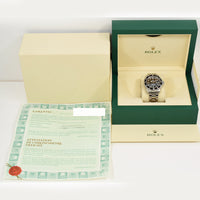 Submariner No Date 41mm Aluminium Stainless Steel 16610