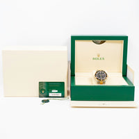 Sea-Dweller 43mm 50th Anniversary - Steel and Yellow Gold 126603