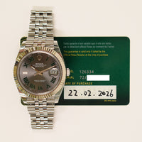 Datejust 41mm Steel and White Gold 126334