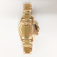 Daytona Yellow Gold 116508