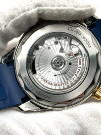 Omega Seamaster 210.22.42.20.03.001