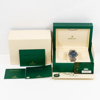 Sky-Dweller Steel and White Gold 336934