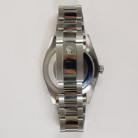 Sky-Dweller Steel and White Gold 336934