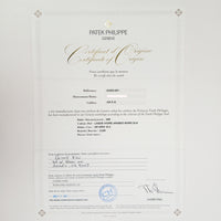 Grand Complications Perpetual Calendar 40mm White Gold Self Winding 5320G-001