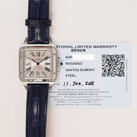 Santos-Dumont - Steel - 43.5mm x 31.4mm WSSA0022