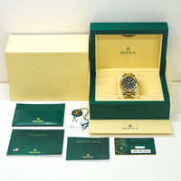 Sky-Dweller Steel and Yellow Gold 336933