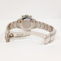 Daytona White Gold 116509