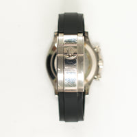 Daytona White Gold with Rubber Strap 116519LN