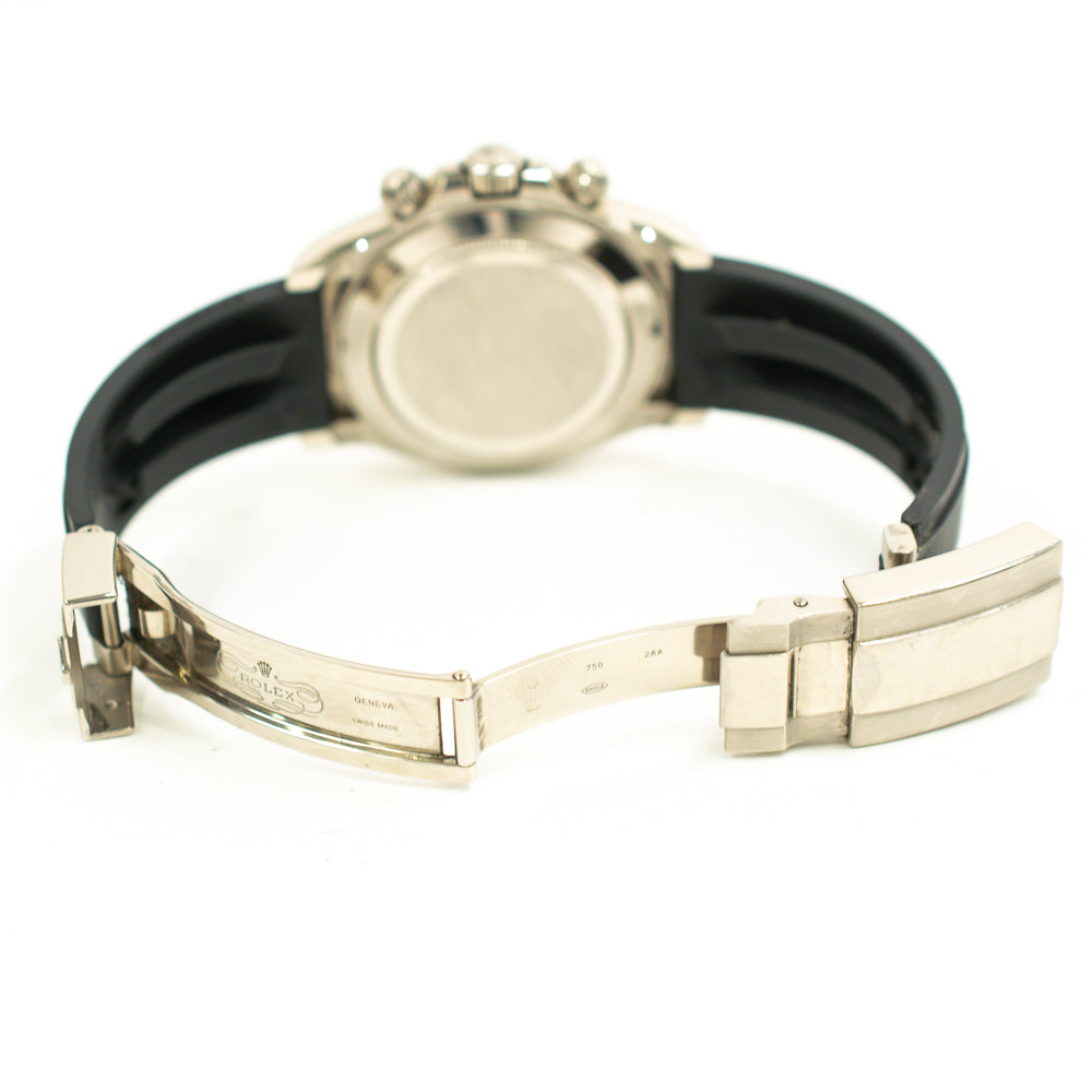 Daytona White Gold with Rubber Strap 116519LN