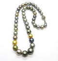 14kt White Gold Multicolor South Sea Pearl 18" Necklace