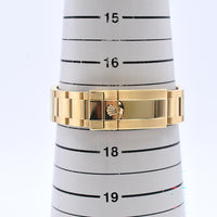 Daytona Yellow Gold 116508G
