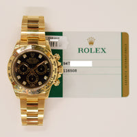 Daytona Yellow Gold 116508G
