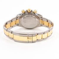 Daytona Steel and Yellow Gold 116503