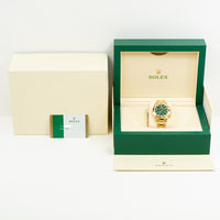 Daytona Yellow Gold 116508