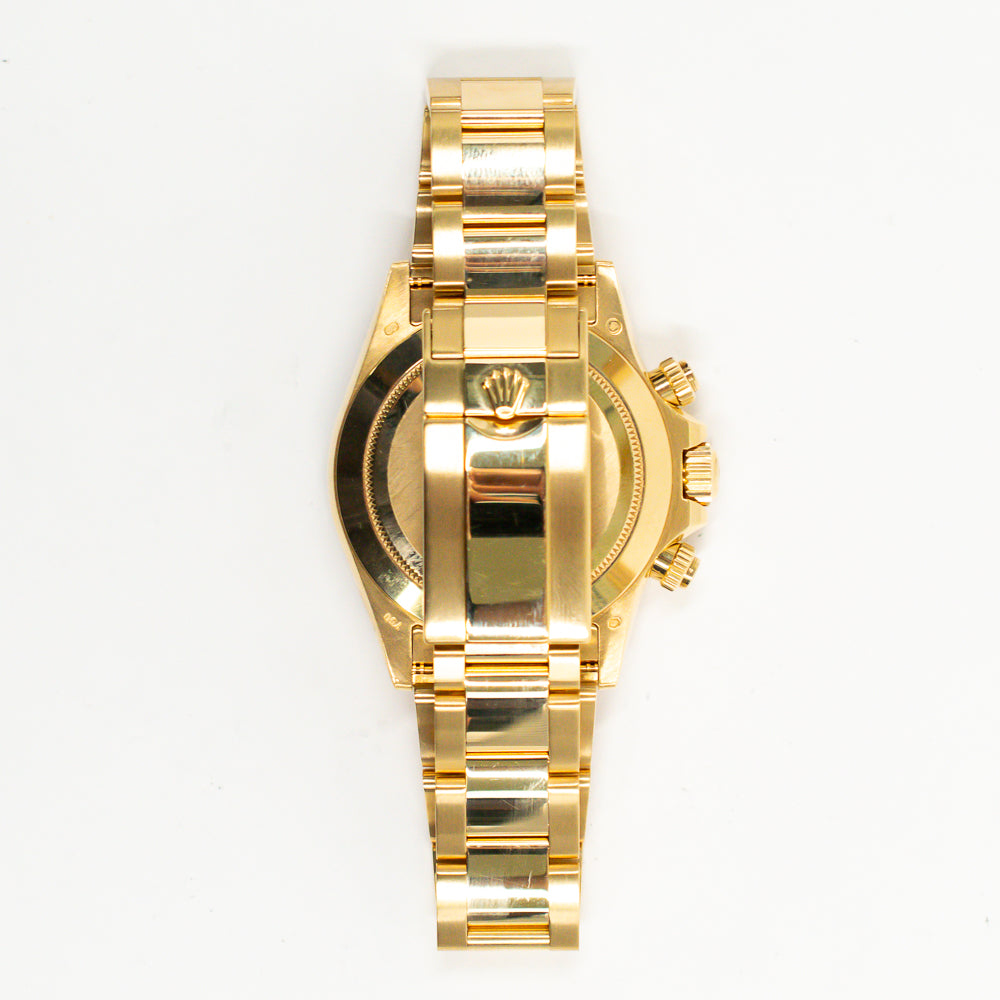 Daytona Yellow Gold 116508