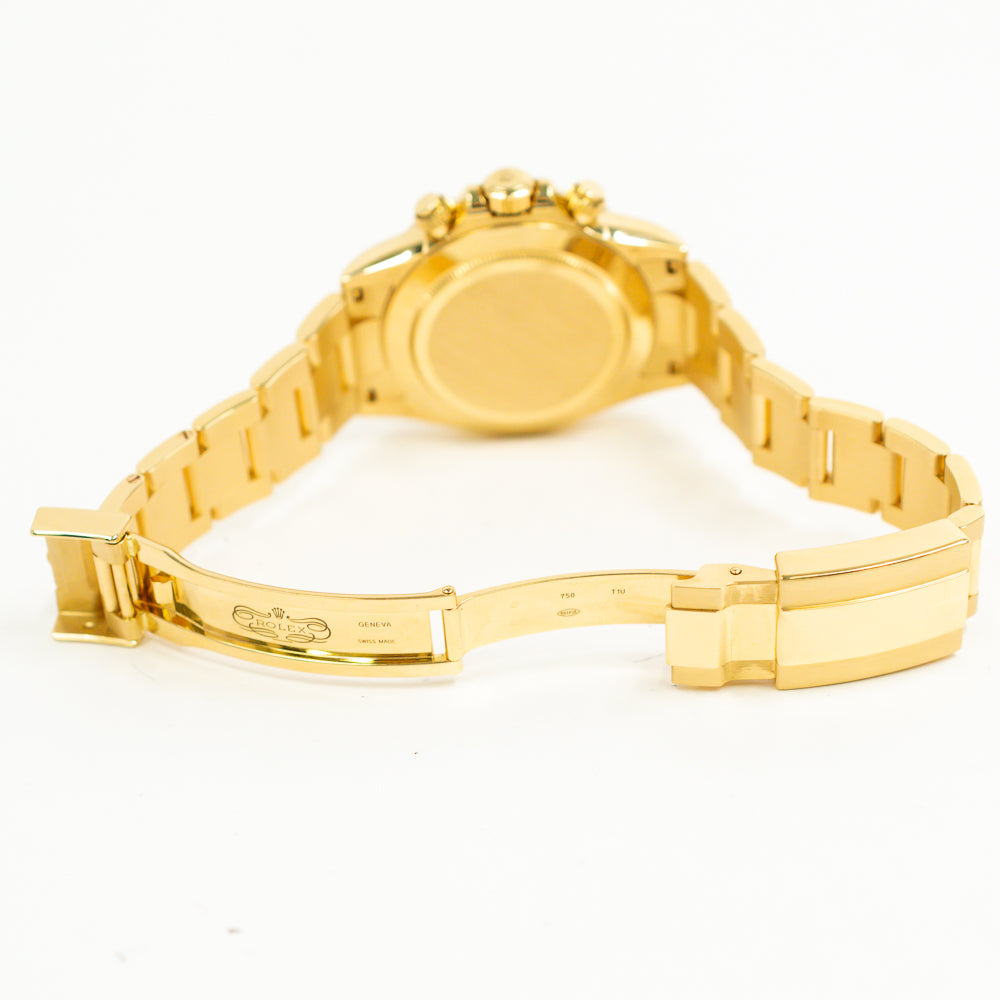 Daytona Yellow Gold 116508
