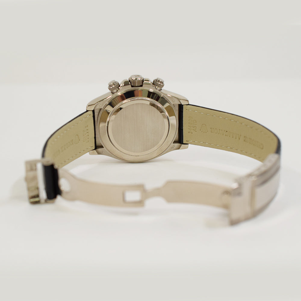Daytona White Gold  116519NG