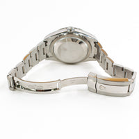 Sky-Dweller Steel and White Gold 336934