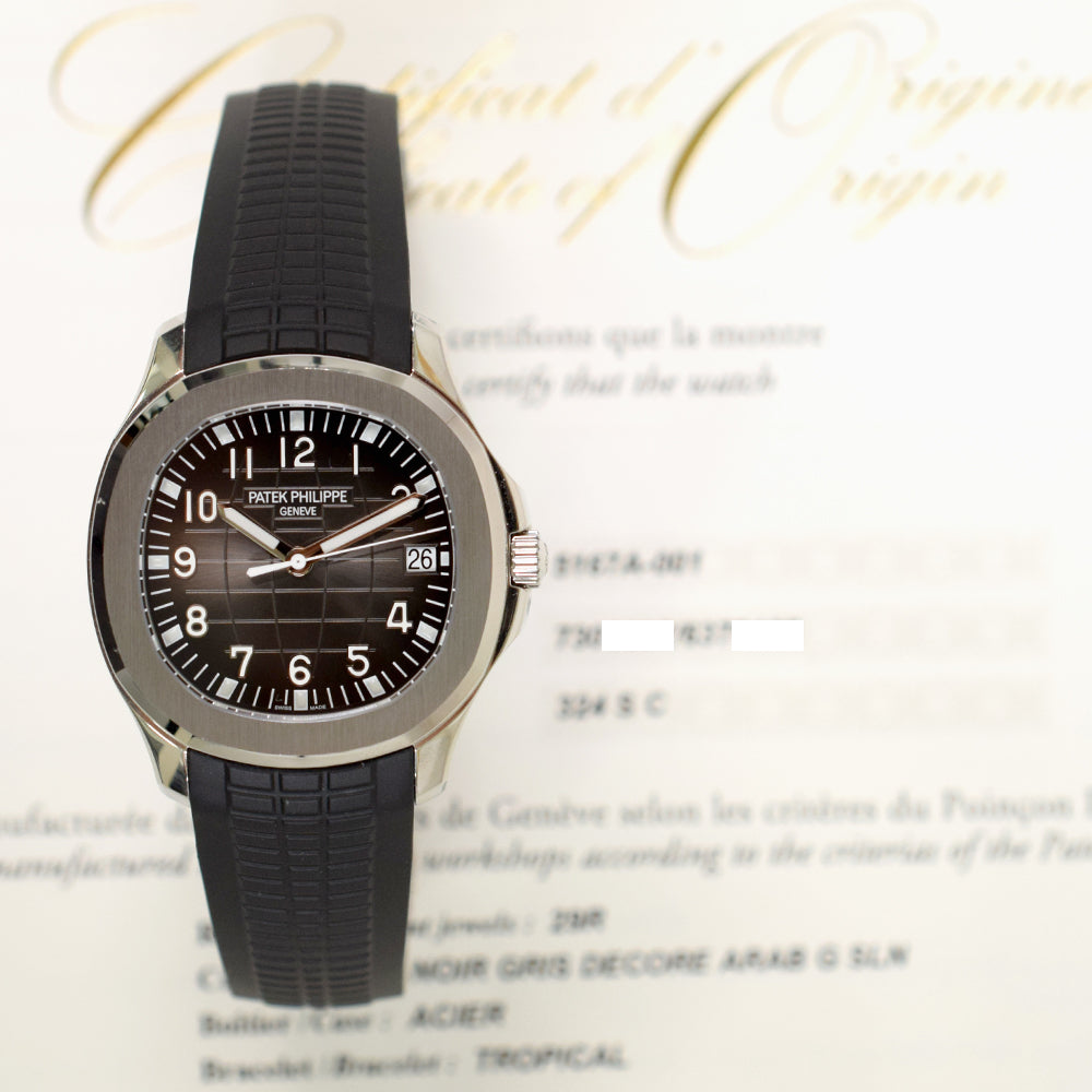 Aquanaut 40.8mm Self Winding Stainless Steel 5167A-001