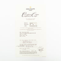 Annual Calendar Chronograph 40mm Self Winding Platinum  5960P-001