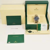Sky-Dweller Steel and White Gold 326934