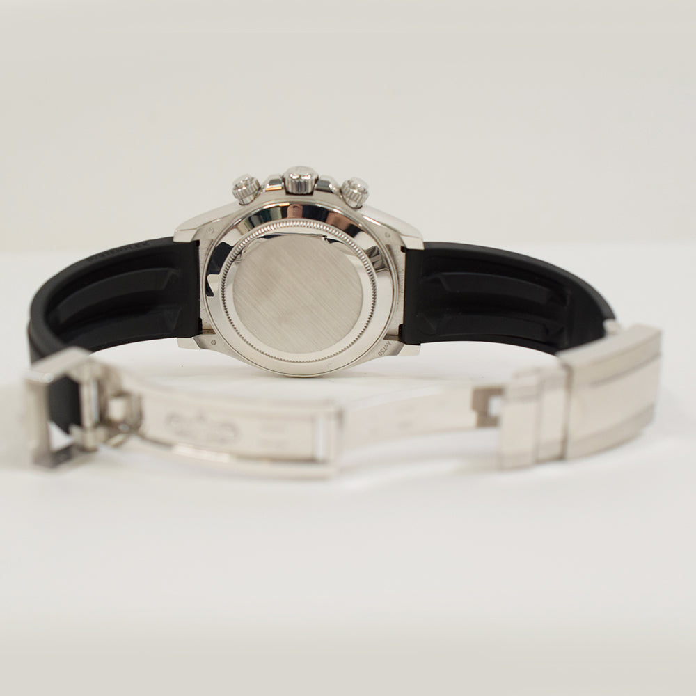 Daytona White Gold  116519LNG