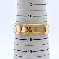 Daytona Yellow Gold 116508
