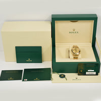 Daytona Yellow Gold 116508