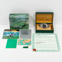 GMT-Master II "Coke" Steel 16710