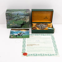 Datejust 36mm Steel and White Gold 16234