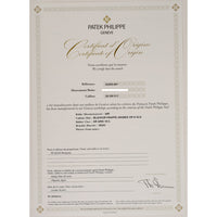 Calatrava Date Self-Winding 40mm White Gold 5226G-001