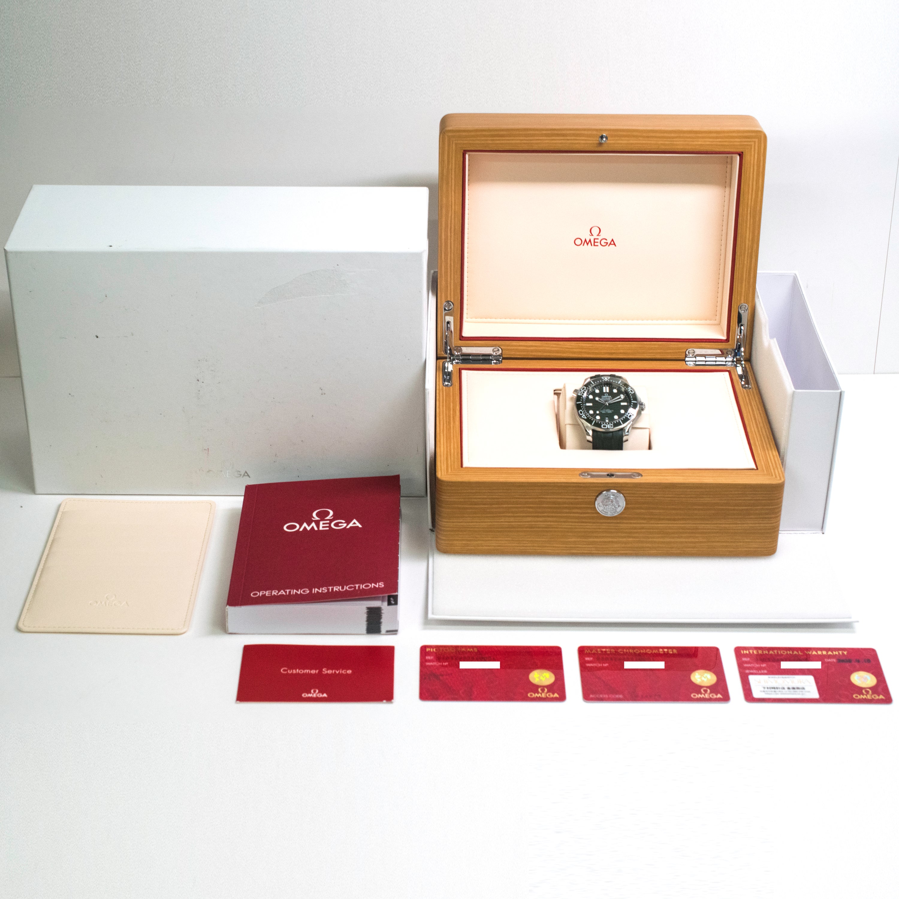 Seamaster Diver 300M Co-Axial 42mm - Steel  210.32.42.20.10.001