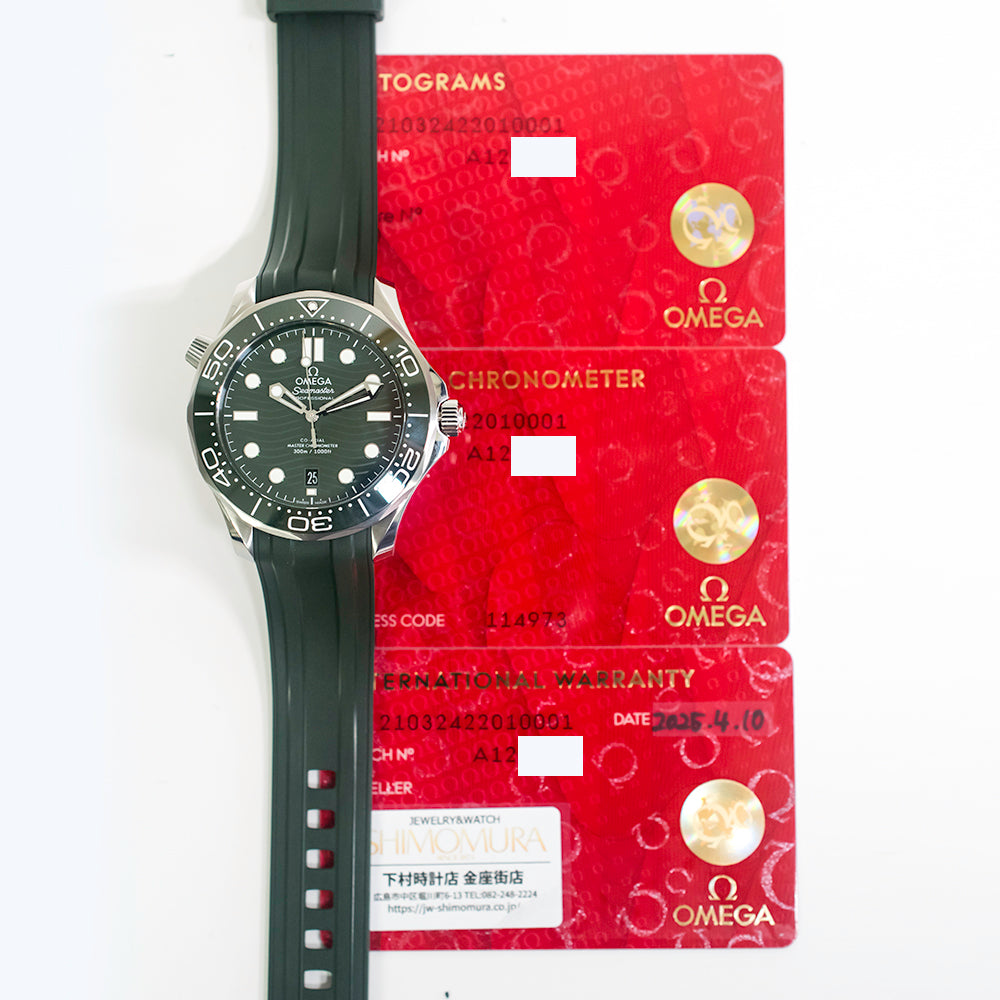 Seamaster Diver 300M Co-Axial 42mm - Steel  210.32.42.20.10.001
