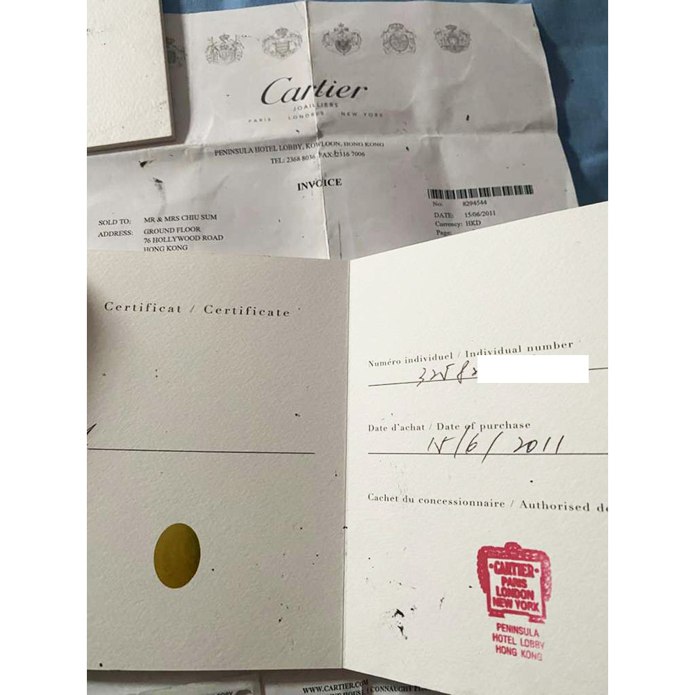 Ballon Bleu de Cartier XL "Sea Turtle" 46mm White Gold - Limited Edition of 40pcs HPI00330