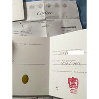 Ballon Bleu de Cartier XL "Sea Turtle" 46mm White Gold - Limited Edition of 40pcs HPI00330