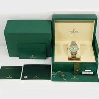Oyster Perpetual 36mm Steel 126000