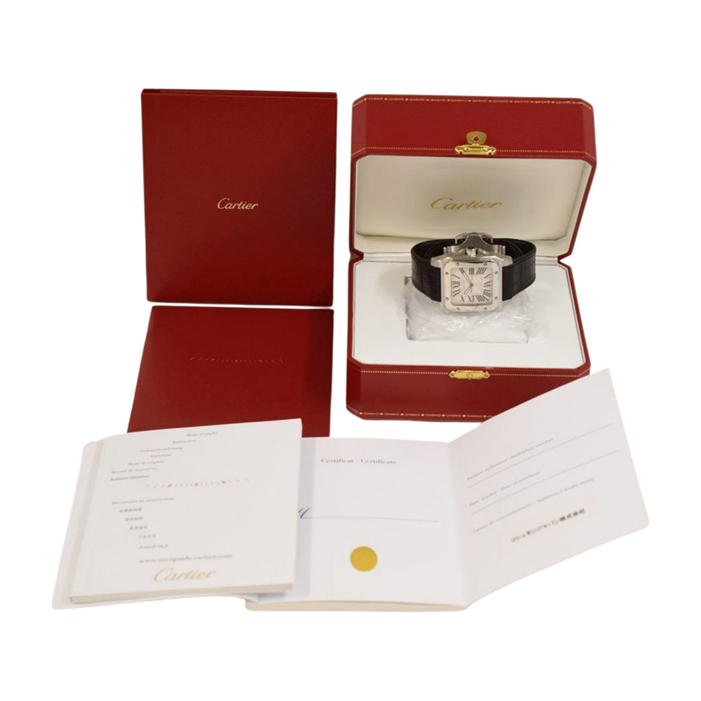 Santos 100 Medium Size Stainless Steel on Strap WSSA0007