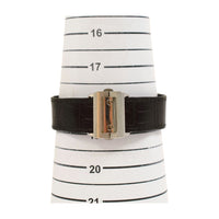 Santos 100 Medium Size Stainless Steel on Strap WSSA0007