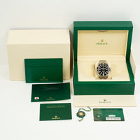 Submariner No Date 41mm Stainless Steel 124060