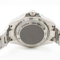 Deepsea 44mm Steel 116660